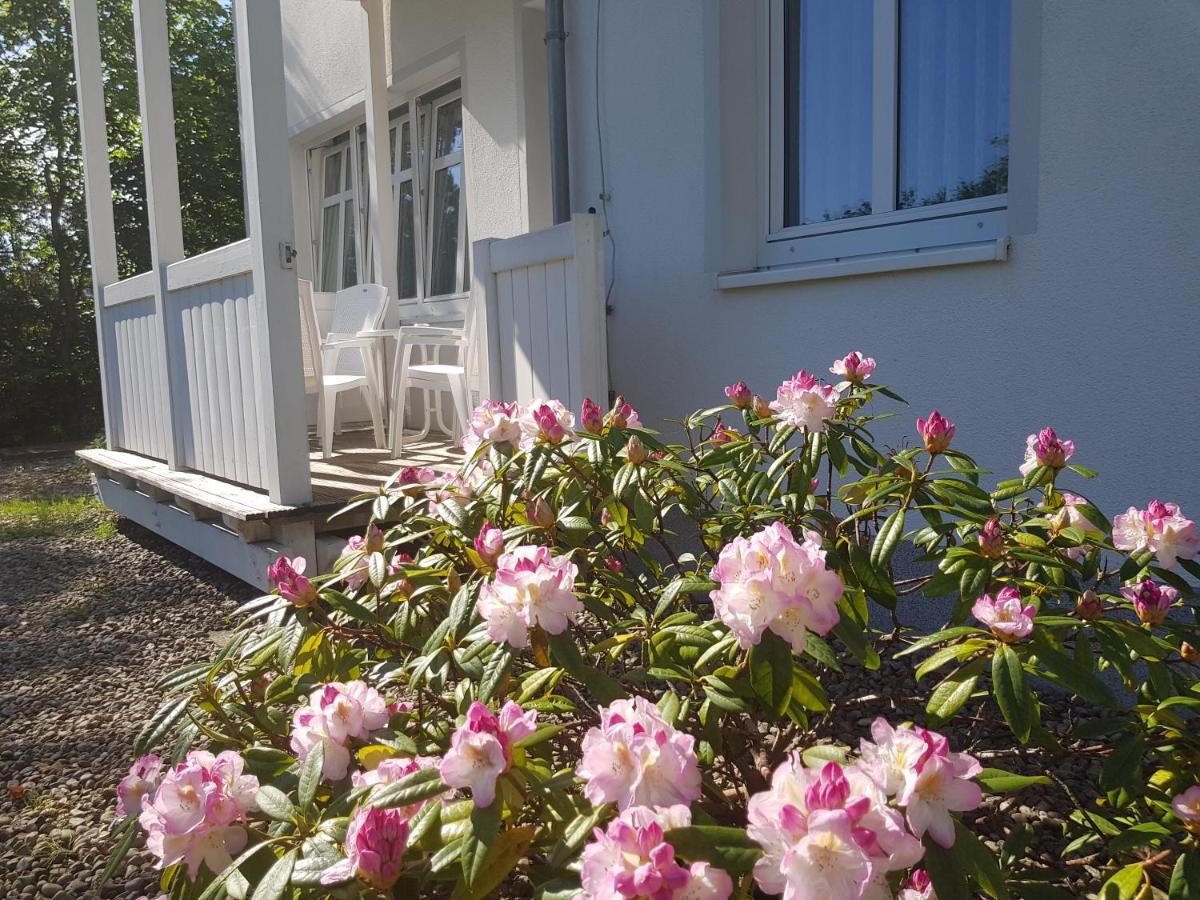 Residenz Seeblick Whg 4, Mit Gartenzugang Sellin  Eksteriør bilde